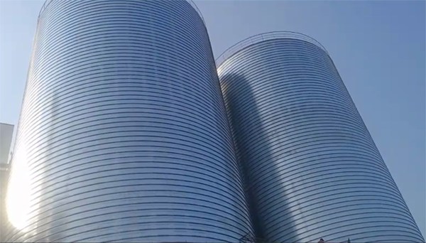 西乡2座混凝土高架卷板仓